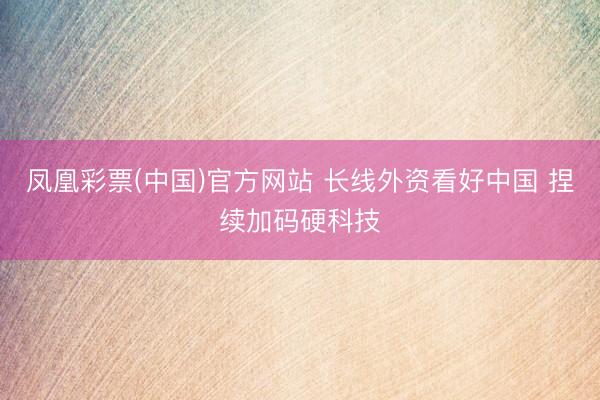 凤凰彩票(中国)官方网站 长线外资看好中国 捏续加码硬科技