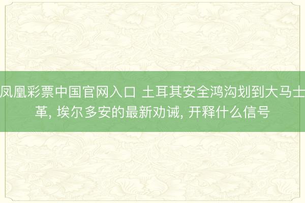 凤凰彩票中国官网入口 土耳其安全鸿沟划到大马士革， 埃尔多安的最新劝诫， 开释什么信号