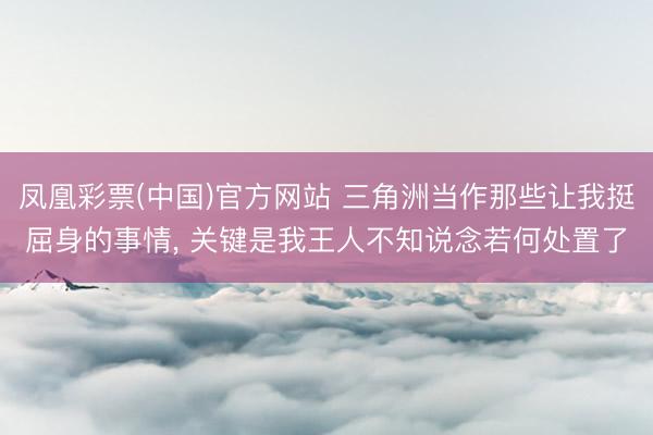 凤凰彩票(中国)官方网站 三角洲当作那些让我挺屈身的事情， 关键是我王人不知说念若何处置了