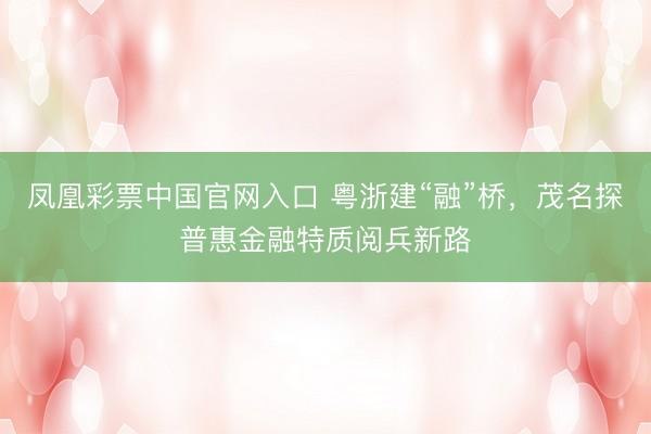 凤凰彩票中国官网入口 粤浙建“融”桥，茂名探普惠金融特质阅兵新路